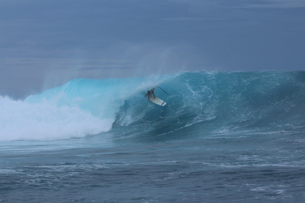 Fresh-Boards SUP ID